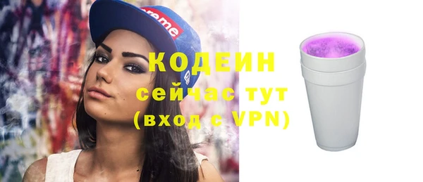дмт Заводоуковск